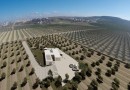 Algorfa (Lomas de La Juliana), Villa #CQ-00-14738