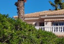 Villamartin (Los Dolses), Villa #CQ-321