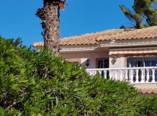 Villamartin (Los Dolses), Villa #CQ-321