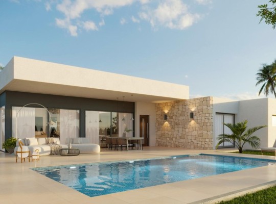 Aspe (Poligono 19), Villa #RD-N8931