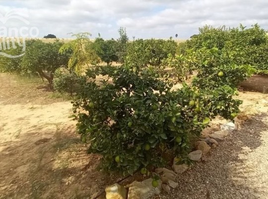 Other areas (San Javier), Finca #CQ-SO-98682