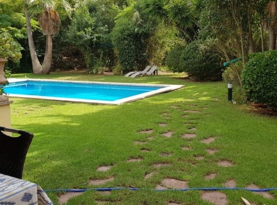 BEAUTIFUL RUSTIC FINCA WITH VACATIONAL LICENSE