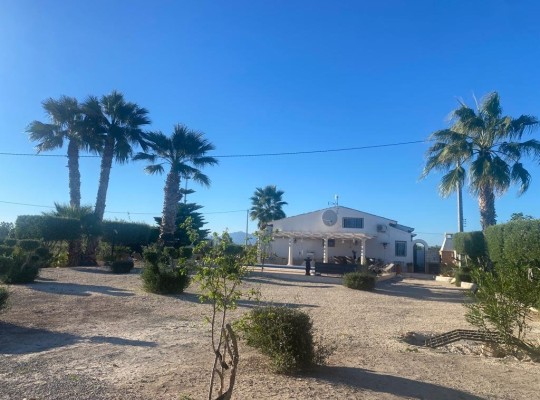 Dolores, Finca #CQ-968