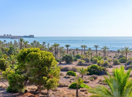 Orihuela Costa (Punta Prima), Apartment #CQ-WN-48905