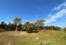 Los Alcazares, Finca #CQ-927