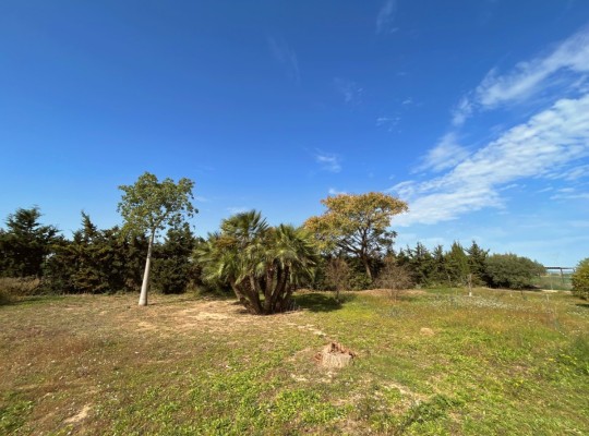 Los Alcazares, Finca #CQ-927