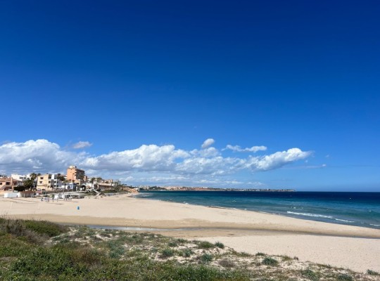 Pilar de La Horadada (Mil Palmeras), Apartment #CQ-WN-53342