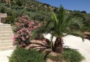 Other areas (iznàjar), Commercial #CQ-GL-70750