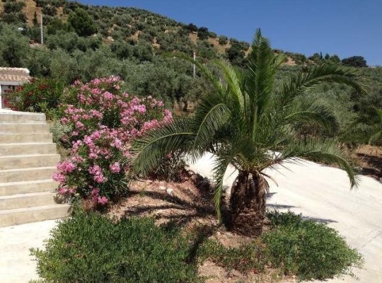 Other areas (iznàjar), Commercial #CQ-GL-70750