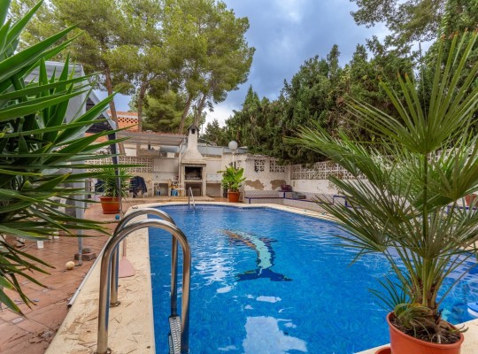 Pilar de La Horadada (Pinar de Campoverde), Semi Detached #CQ-HS-19833