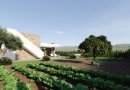 Other areas (Hacienda del Alamo), Villa #CQ-00-76868