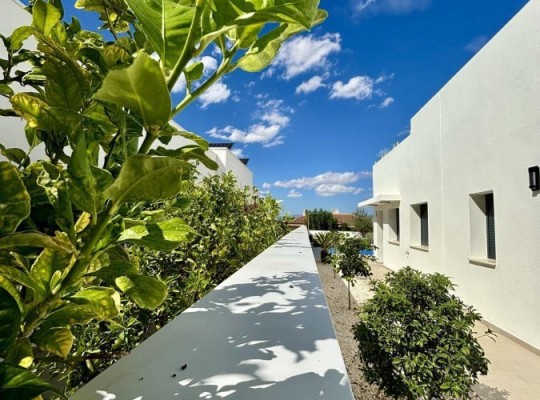 Benijofar (Pueblo), Villa #CQ-00-72817