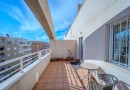 Torrevieja (Centro), Apartment #CQ-142