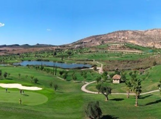 Algorfa (La Finca Golf), Villa #CQ-00-24501