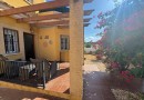 Algorfa (Lo Crispin), Villa #CQ-TS-61710