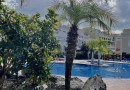 Apartman Palm Mar s výhledem na oceán