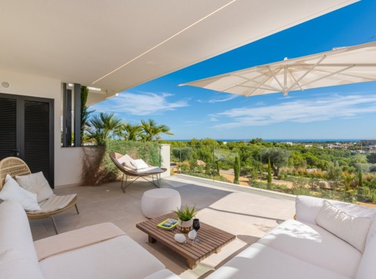 Las Colinas (Las Colinas Golf), Apartment #CQ-612