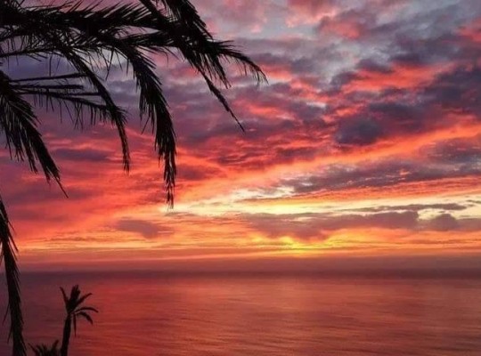 Torrevieja (Altos del Sol), Bungalow #CQ-00-94502