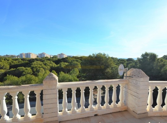 Campoamor, Villa #CQ-R-23091