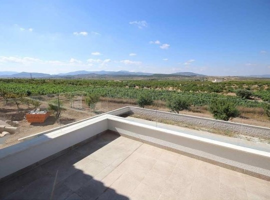 Pinoso (Camino Del Prado), Villa #RD-N9375