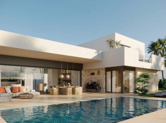 Aspe (Poligono 19), Villa #RD-N8932