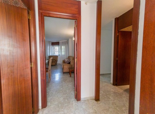 Torrevieja (Playa del Acequion), Apartment #CQ-TS-49373