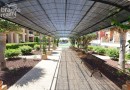 Apartmán v luxusním komplexu s wellness a vyhřívaným bazénem, Orihuela Costa