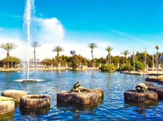 Torrevieja (Aguas Nuevas), Villa #RD-N6894