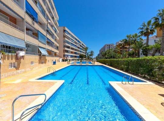 Torrevieja (Rocio del Mar), Apartment #CQ-KB-68055