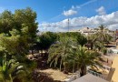 Punta Prima, Apartment #CQ-297