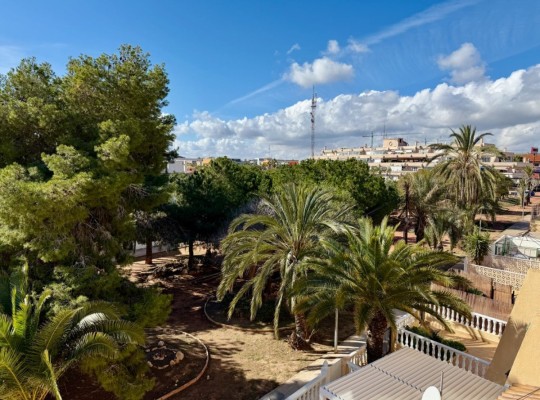 Punta Prima, Apartment #CQ-297