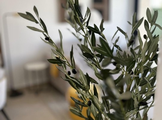 San Fulgencio (Pueblo), Bungalow #RD-N8794