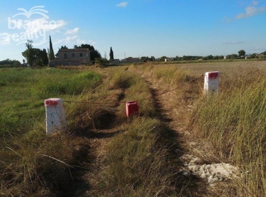 Callosa De Segura, Finca #CQ-SL-23062
