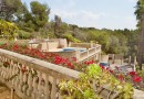 Portals Nous (Calvià), Apartment #CQ-GL-11199