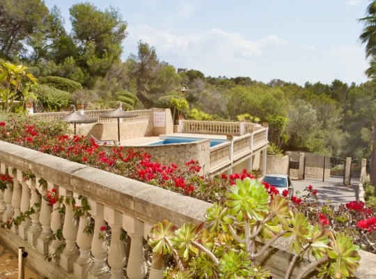 Portals Nous (Calvià), Apartment #CQ-GL-11199