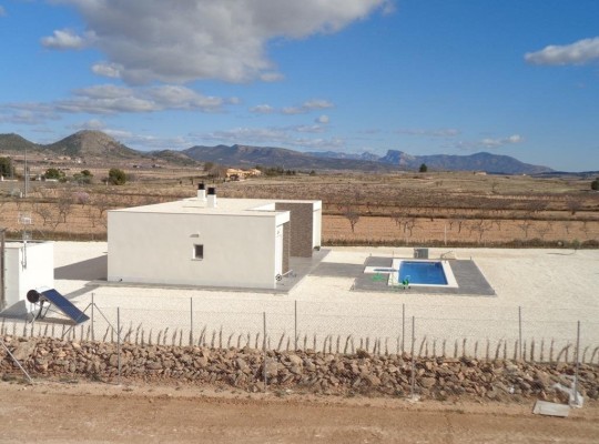 Pinoso (Camino Del Prado), Villa #RD-N7761