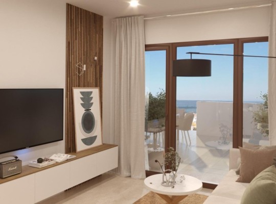 Other areas (Vera playa), Apartment #CQ-00-79638