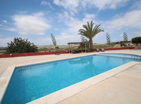 Orihuela (Torremendo), Finca #CQ-JM-87286