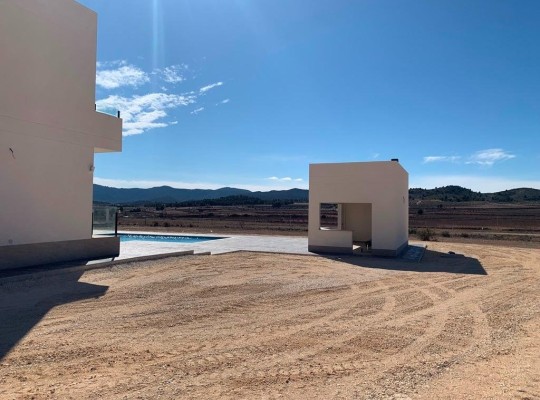 Pinoso (Camino Del Prado), Villa #RD-N7763