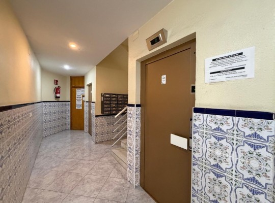 PROSTORNÉ STUDIO 350 METRŮ OD PLÁŽE DEL CURA S PROSKLENOU TERASOU