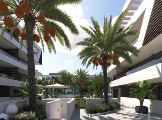 Alicante (Nou Nazareth), Apartment #CQ-00-79997