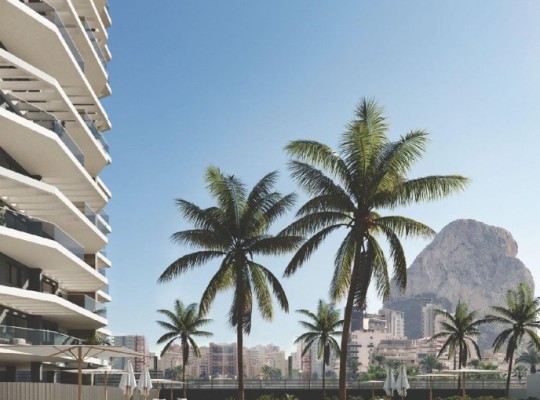 Calpe (Playa Cantal Roig), Apartment #RD-N7291