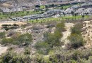 Ciudad Quesada (La Marquesa Golf), Villa #CQ-834