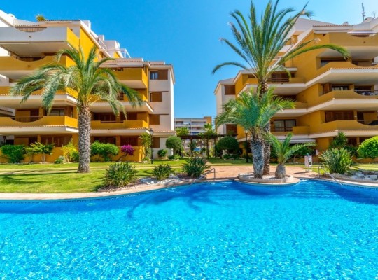 Punta Prima, Apartment #CQ-OC-89244