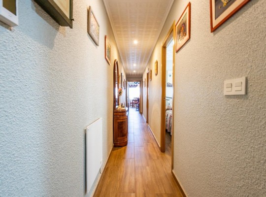 Torrevieja (Playa del Acequion), Apartment #CQ-TS-12609