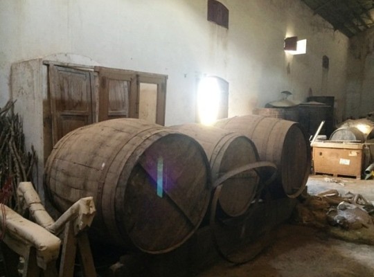 Other areas (La Matanza), Finca #CQ-GL-85543