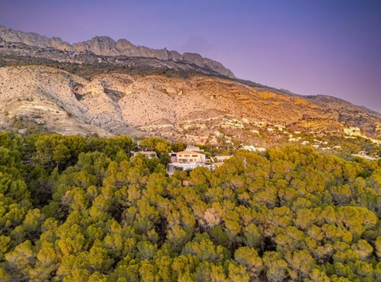 Altea (Altea la Vella), Villa #CQ-JM-28339