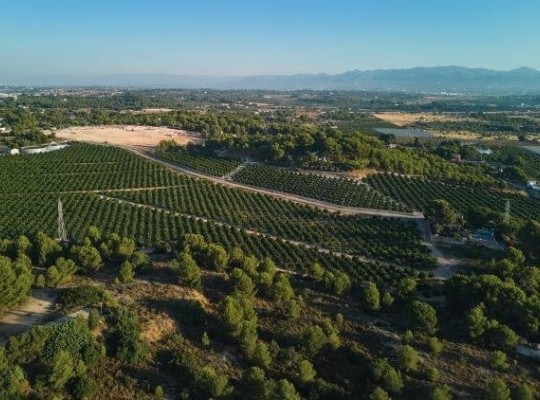 Other areas (Campolivar), Villa #CQ-00-51868