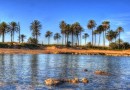 Torrevieja (Playa de El Cura), Apartment #CQ-00-16520
