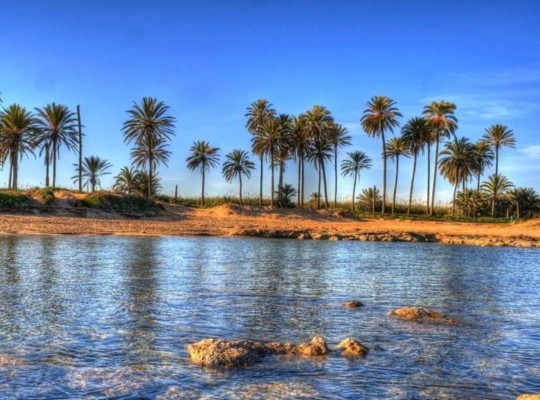 Torrevieja (Playa de El Cura), Apartment #CQ-00-16520